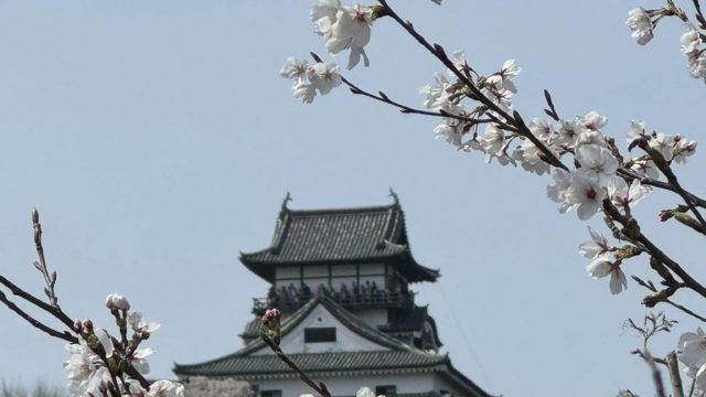 愛知さくらライオンズクラブ結成20周年記念式典