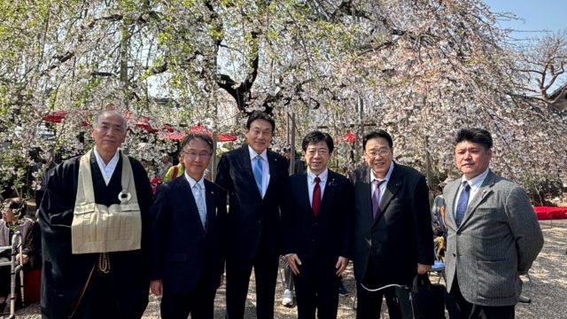 悟渓寺枝垂れ桜祭り