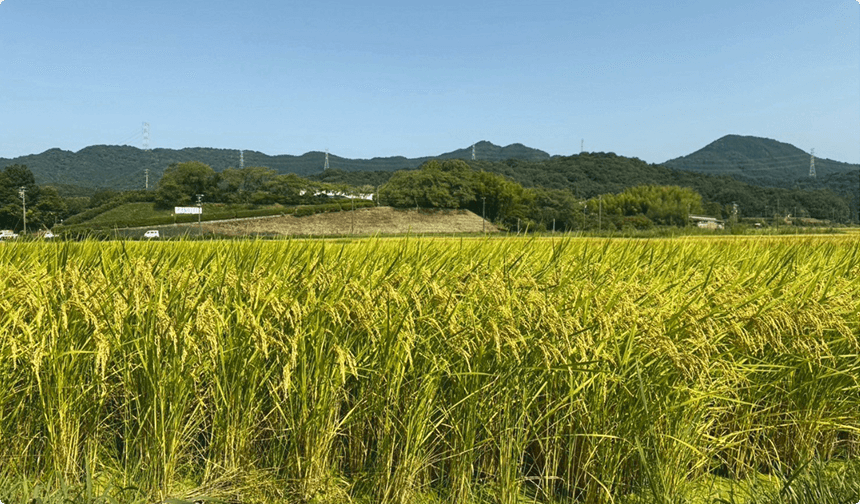 「稼げる」農林水産業の実現